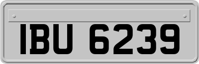 IBU6239