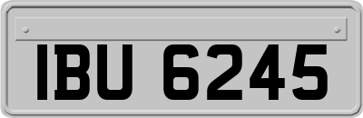 IBU6245