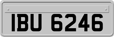IBU6246