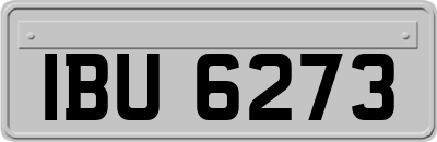 IBU6273