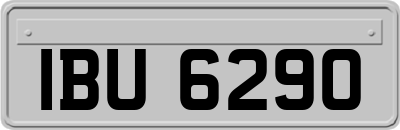 IBU6290