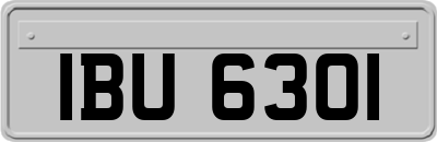 IBU6301