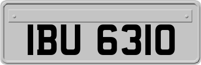 IBU6310