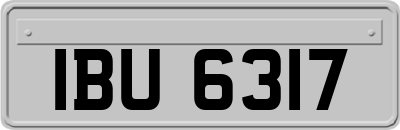 IBU6317