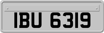 IBU6319
