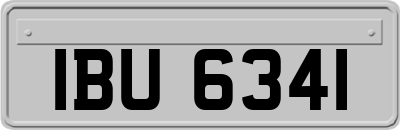 IBU6341