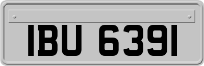 IBU6391