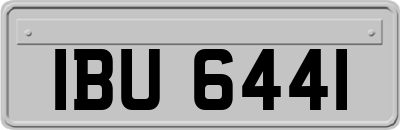 IBU6441