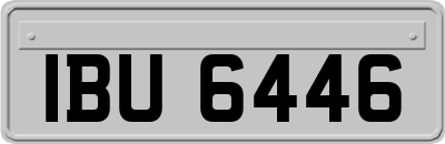 IBU6446