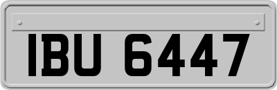 IBU6447