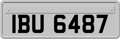 IBU6487