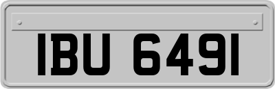 IBU6491