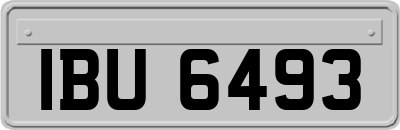IBU6493
