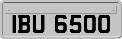 IBU6500
