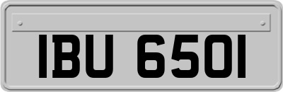 IBU6501