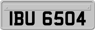 IBU6504