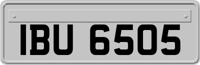 IBU6505