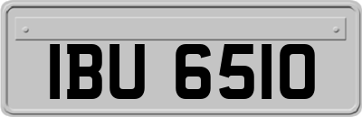 IBU6510