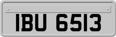 IBU6513
