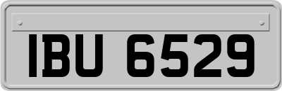 IBU6529