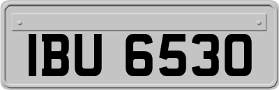 IBU6530