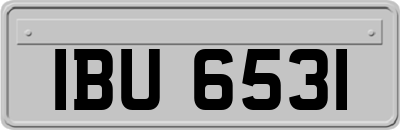 IBU6531
