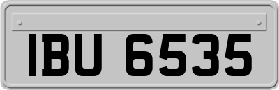 IBU6535