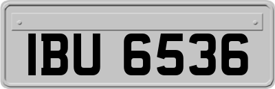 IBU6536