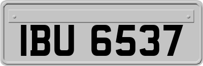IBU6537