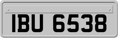 IBU6538
