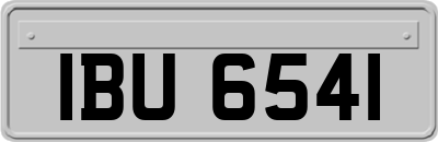 IBU6541