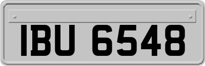 IBU6548