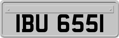 IBU6551