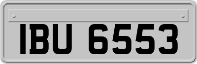IBU6553