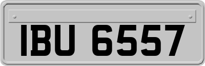 IBU6557