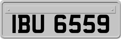 IBU6559