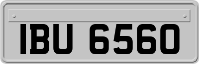 IBU6560