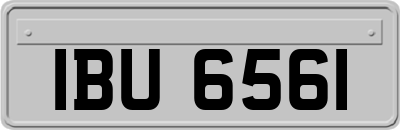 IBU6561