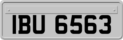 IBU6563