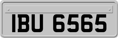 IBU6565