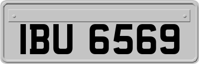 IBU6569