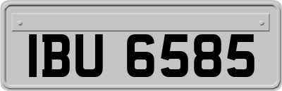IBU6585