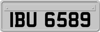 IBU6589