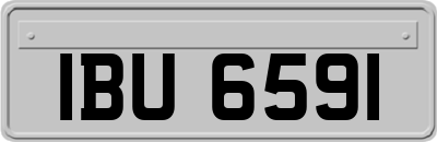 IBU6591