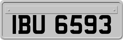 IBU6593