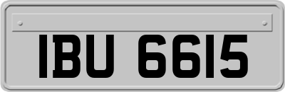 IBU6615