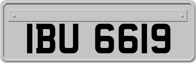 IBU6619