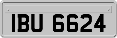 IBU6624