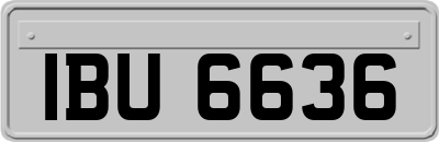 IBU6636