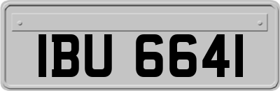 IBU6641